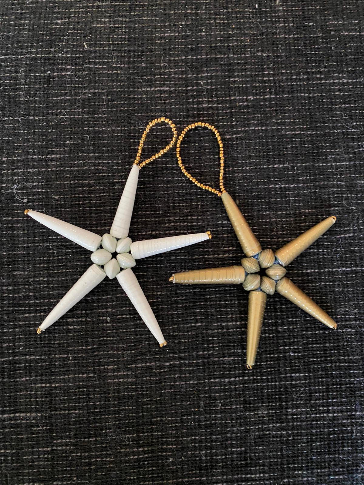 Sustainable Star Ornament