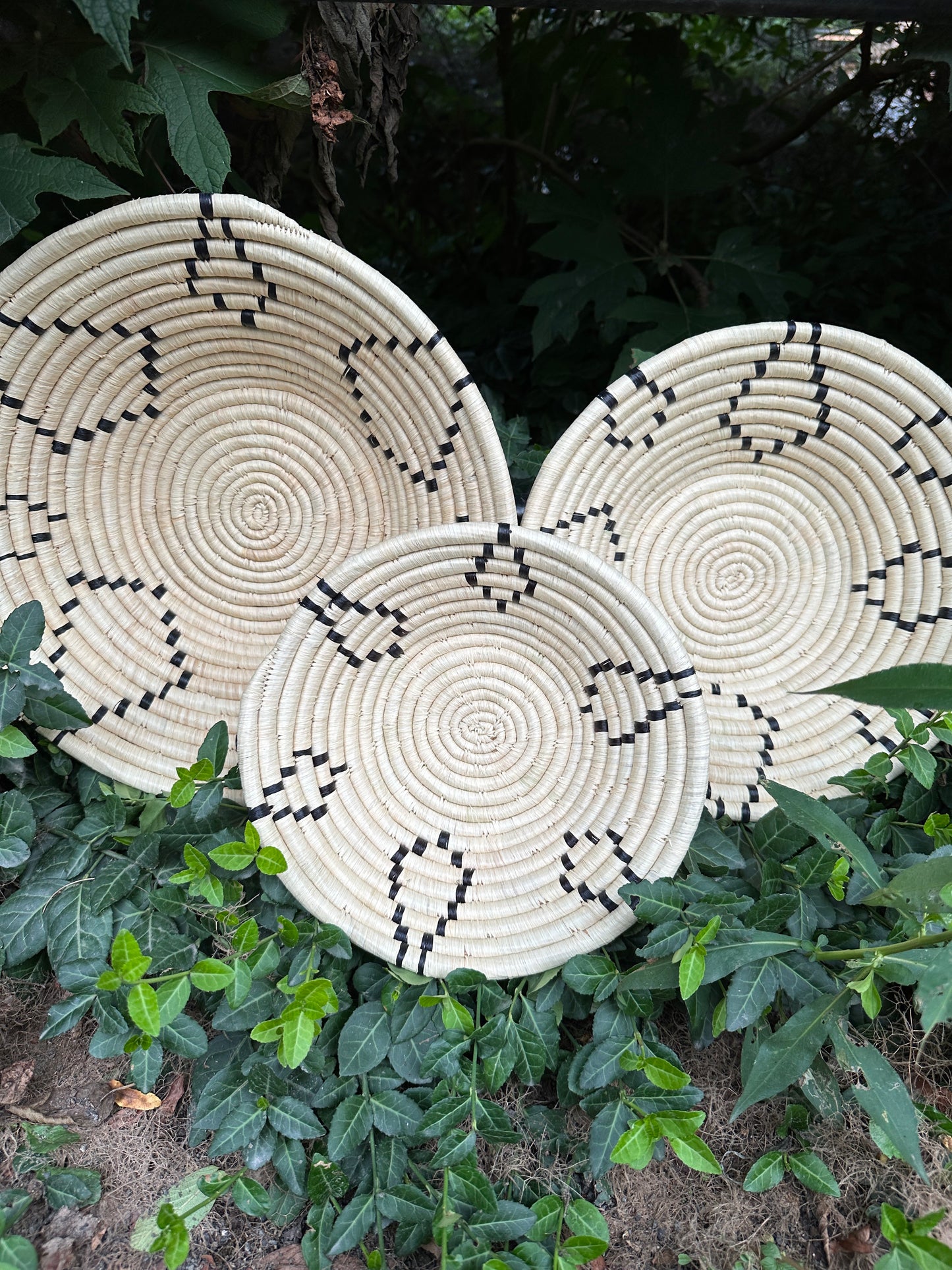 Black Diamond Basket