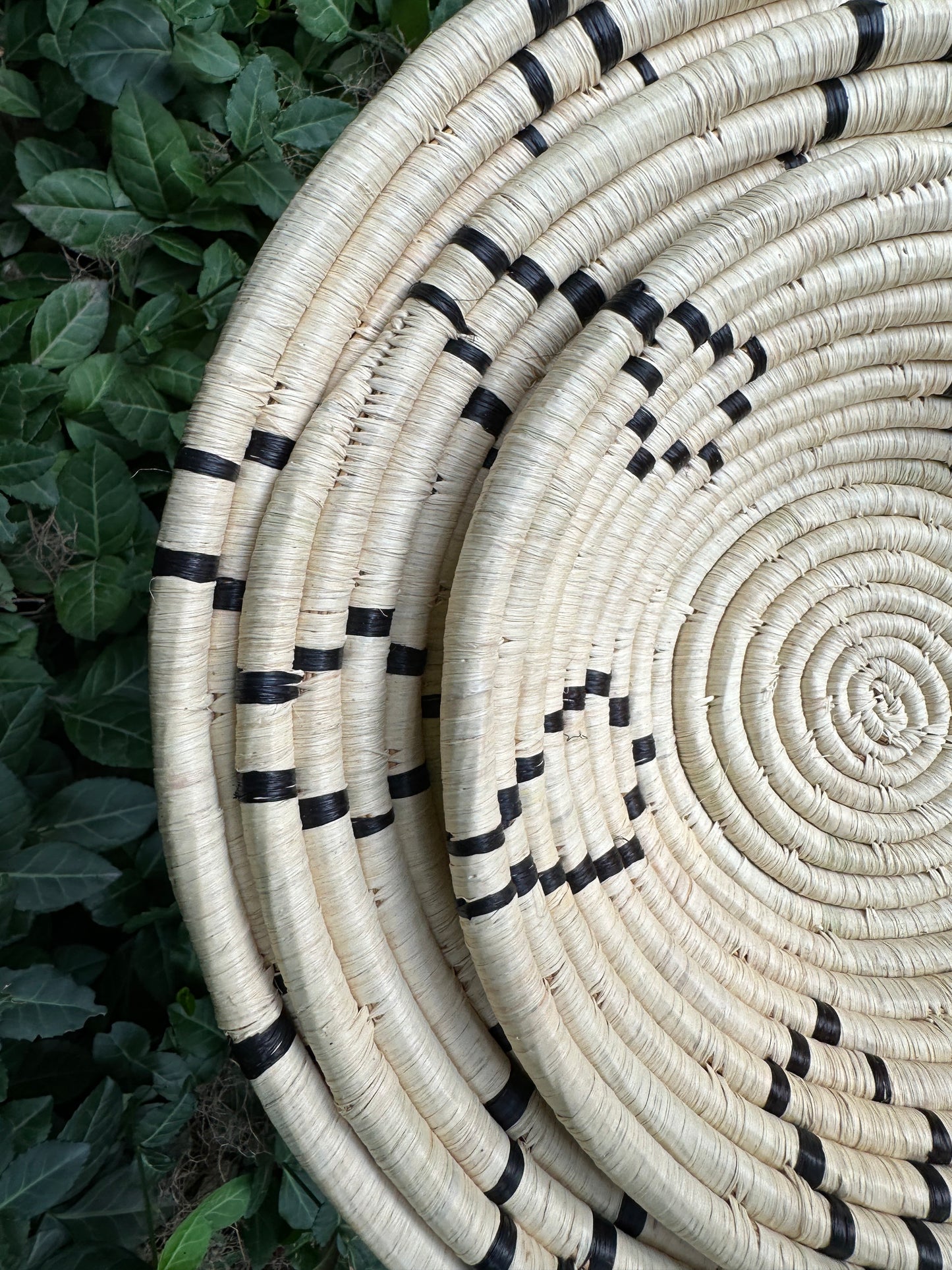 Black Diamond Basket