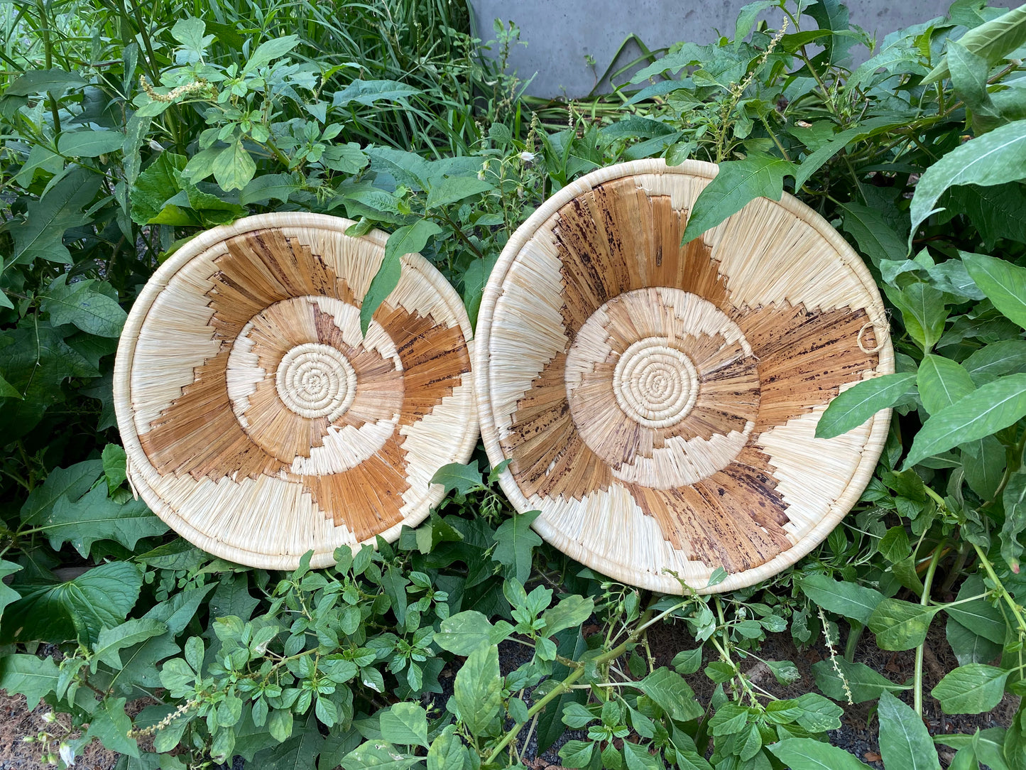 Tan Fan Basket