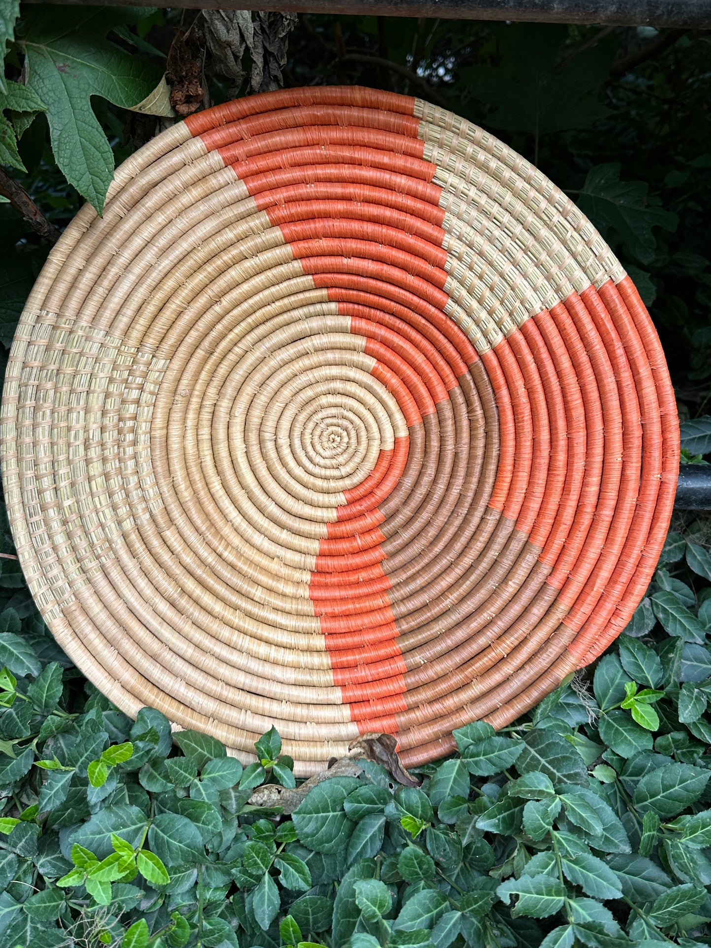 Coral Swirl Basket